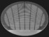 Bang & Olufsen Celestial Advanced Grille 10