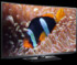 TV LG 50PA6500