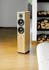 Boxe Dynaudio Focus 220
