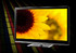 TV Sharp Full LED TV LC-46LE820EV