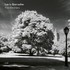 VINIL ECM Larry Grenadier: The Gleaners