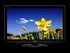 TV Panasonic TX-L42U2E