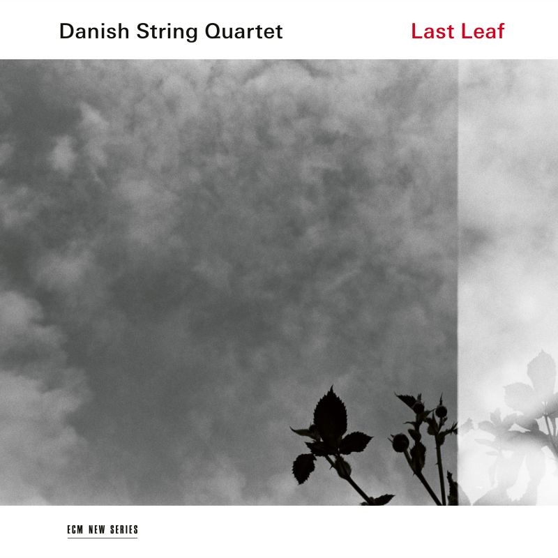 VINIL ECM Danish String Quartet: Last Leaf