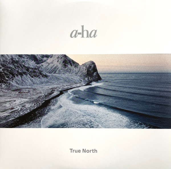 VINIL Sony Music A-Ha True North (Black Heavy Vinyl)