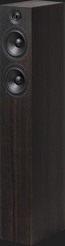 Boxe ProJect Speaker Box 15 DS2