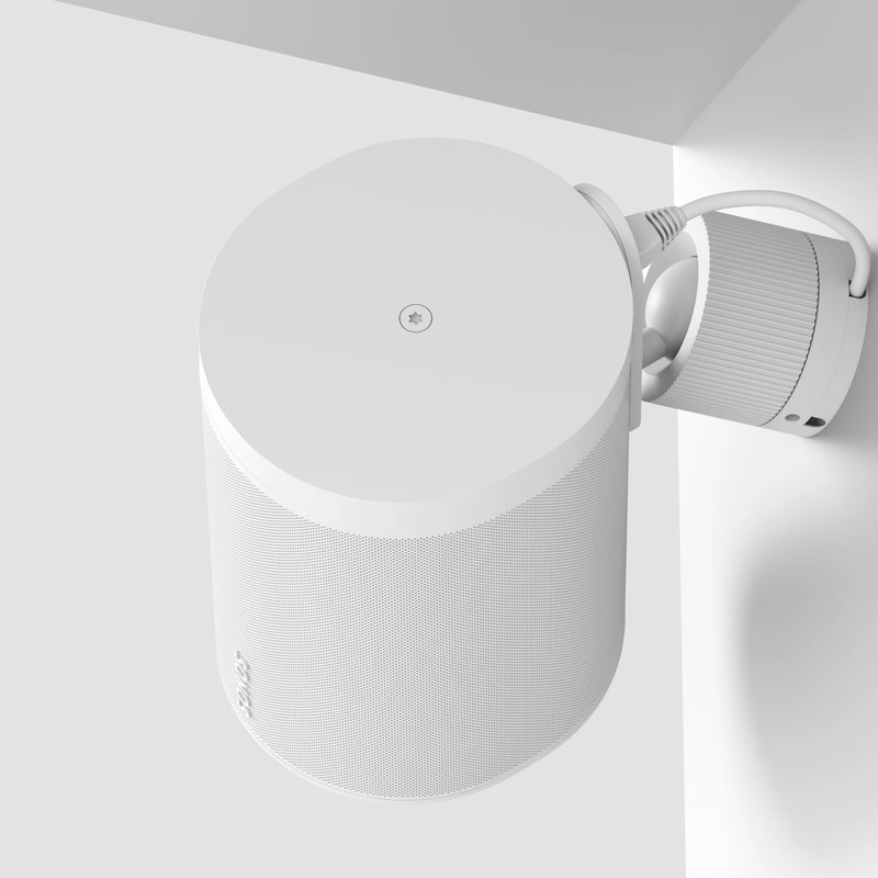 Sonos Era 100 Pro Surface Mount 