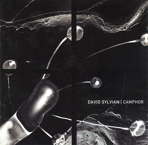 VINIL UNIVERSAL RECORDS David Sylvian - Camphor II
