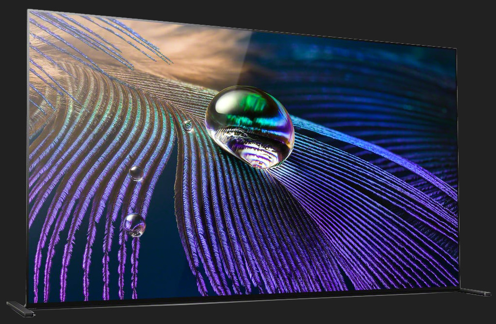  OLED Sony XR-65A90J