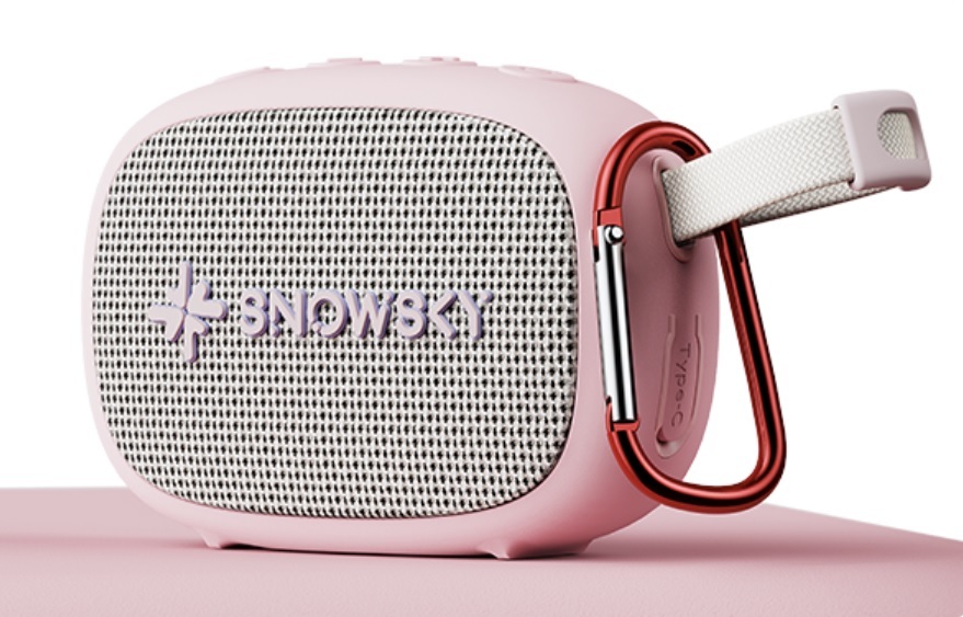 Boxe active Fiio Snowsky Anywhere