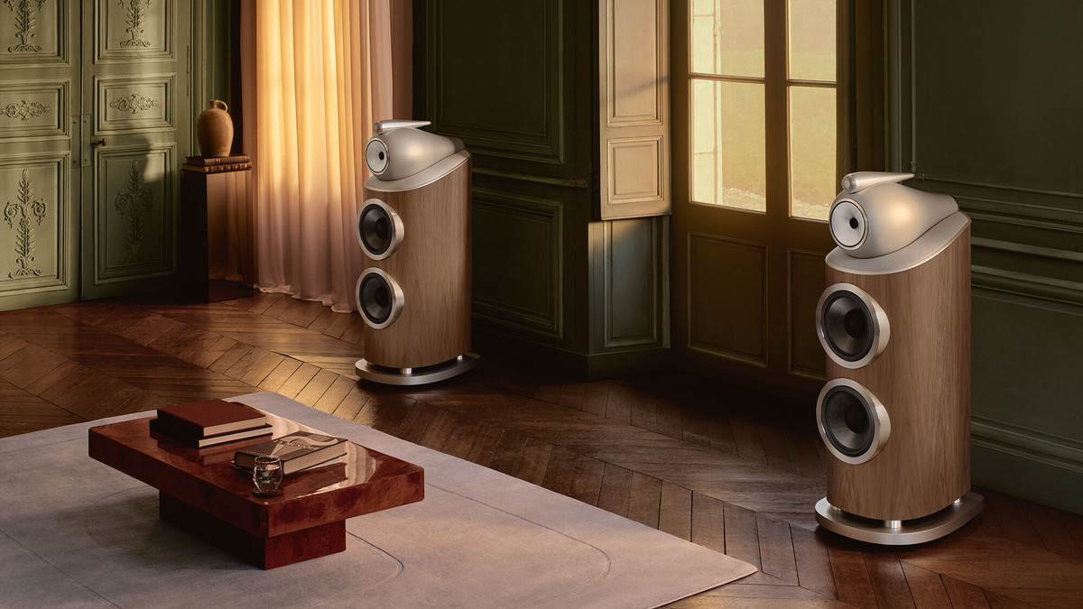 Boxe Bowers & Wilkins 801 D5