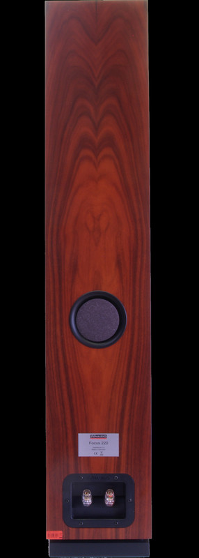 Boxe Dynaudio Focus 220