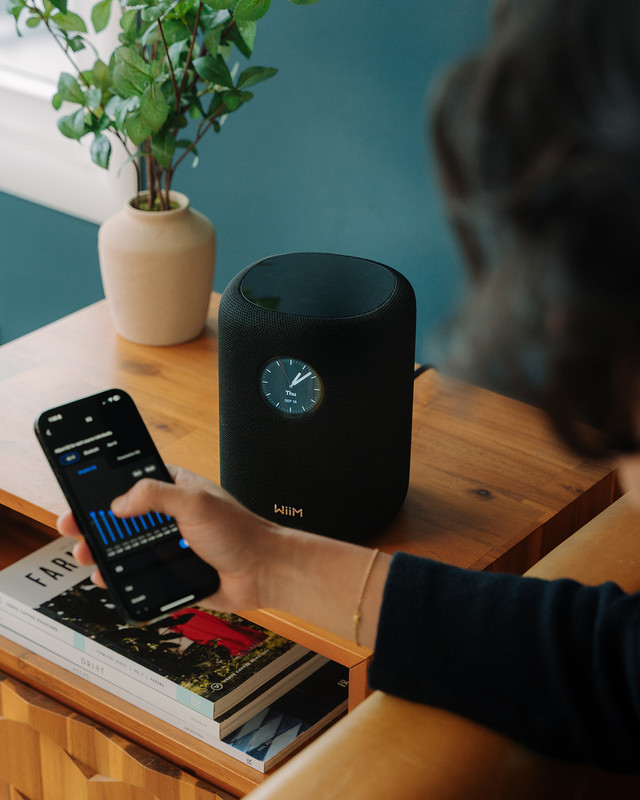 Boxe active WiiM Sound