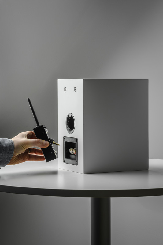 Amplificator ProJect Wireless Box E