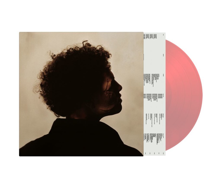 VINIL UNIVERSAL RECORDS slowthai - U Gotta Love Yourself ( red )