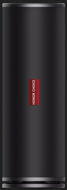 Boxe active HONOR CHOICE Honor Choice Speaker Pro