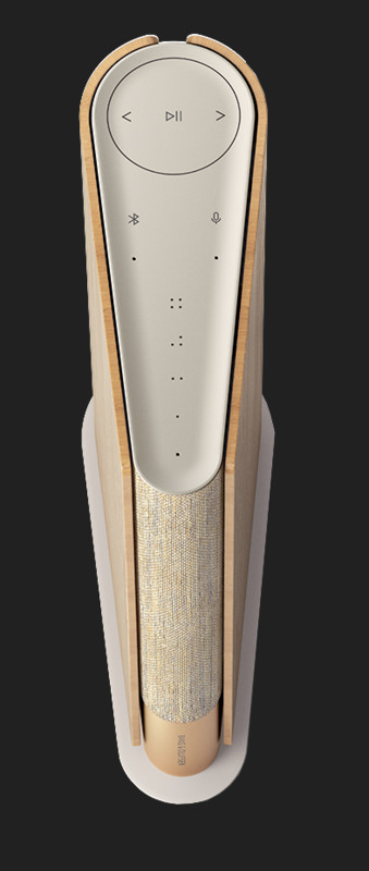 Boxe active Bang & Olufsen Beosound  Emerge