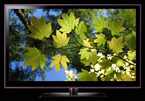 TV LG 32LE5500