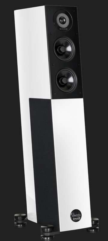Boxe Audio Physic Avantera III