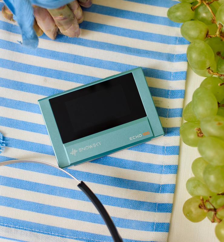 Fiio SNOWSKY ECHO MINI