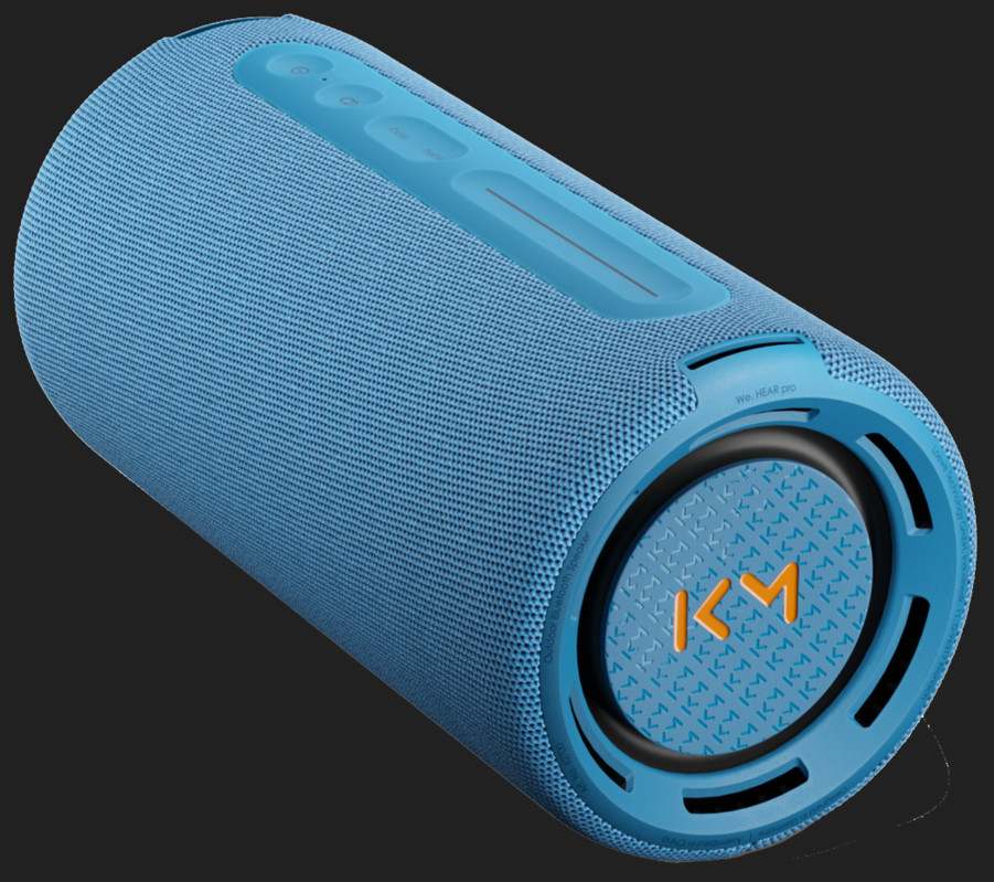 Boxe active Loewe We.HEAR PRO