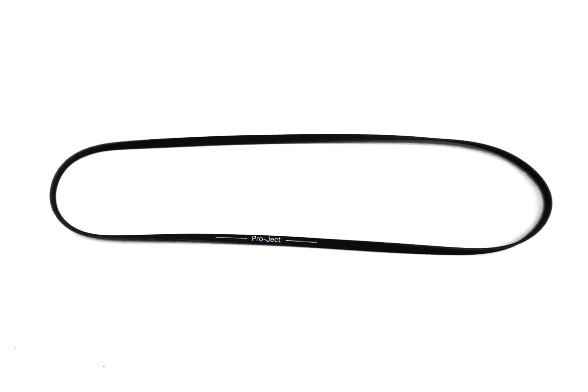 ProJect Curea de schimb Plata 158,9mm pentru A1, Debut, E1, X1, X2