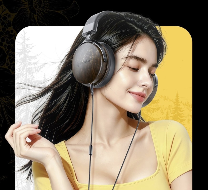 Casti Fiio Snowsky Nature Negru