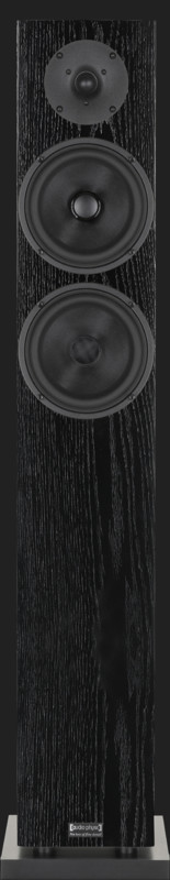 Boxe Audio Physic Classic 8