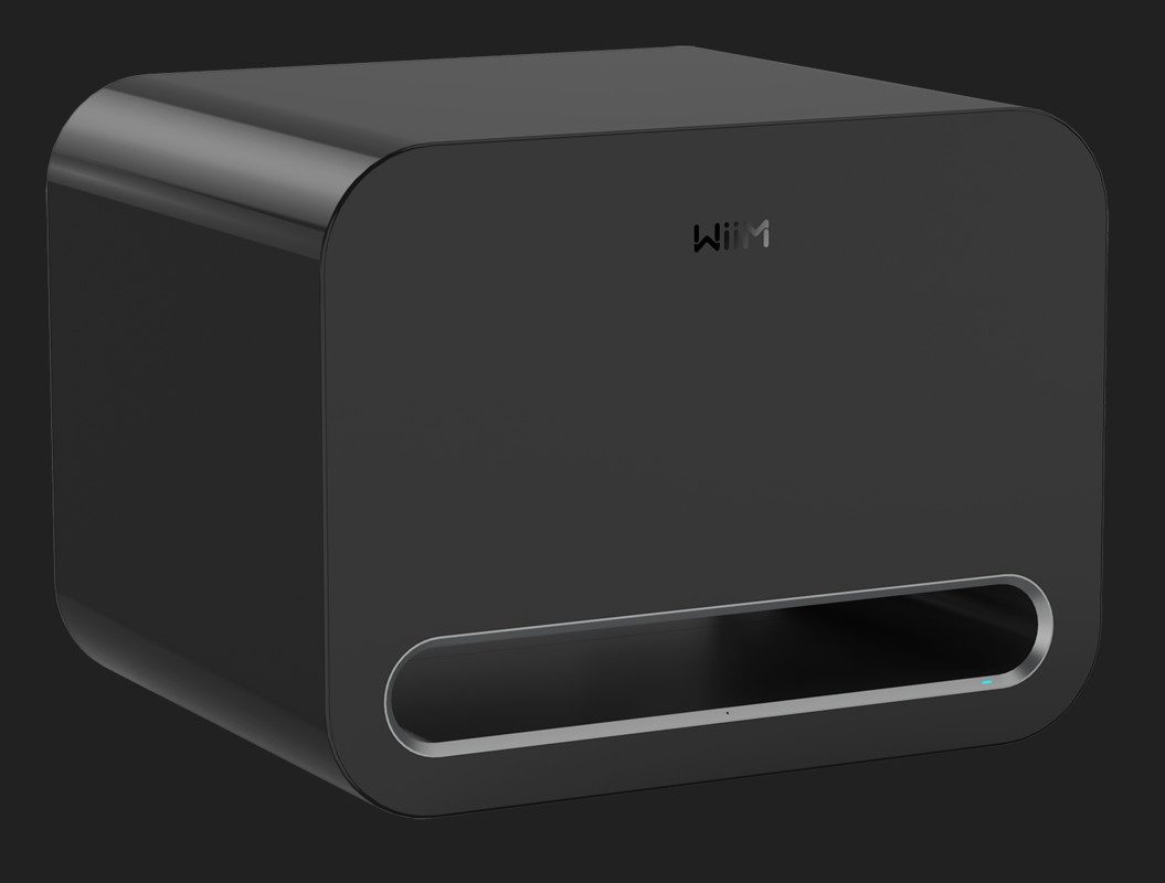 Subwoofer WiiM Sub Pro