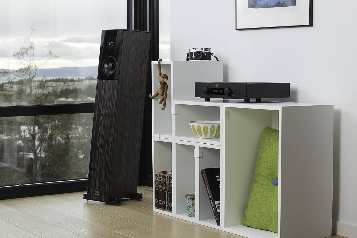 Amplificator Hegel H90