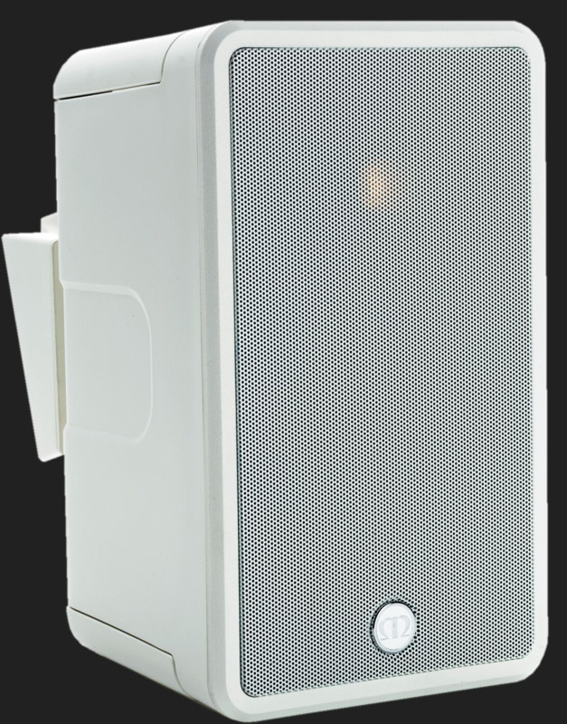  Monitor Audio boxe de exterior Climate 50