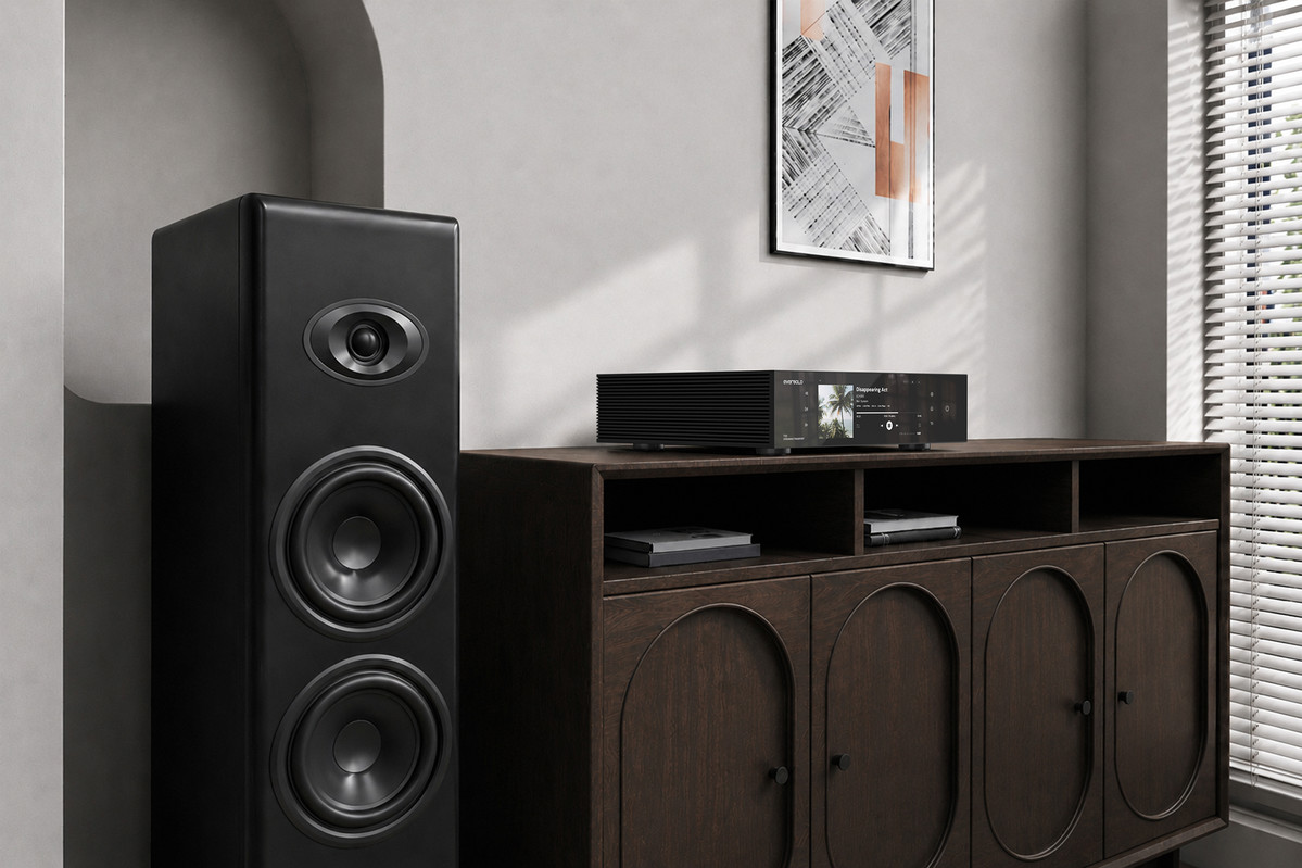 EverSolo T10