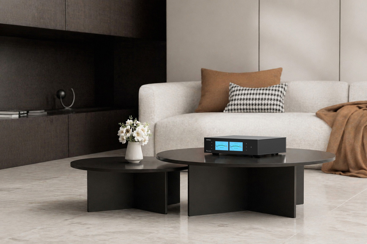 EverSolo T10