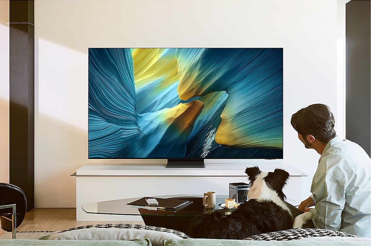TV Samsung 65S95F