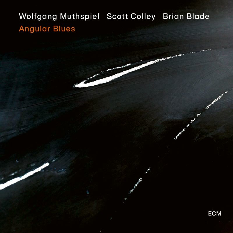 VINIL ECM Wolfgang Muthspiel - Angular Blues