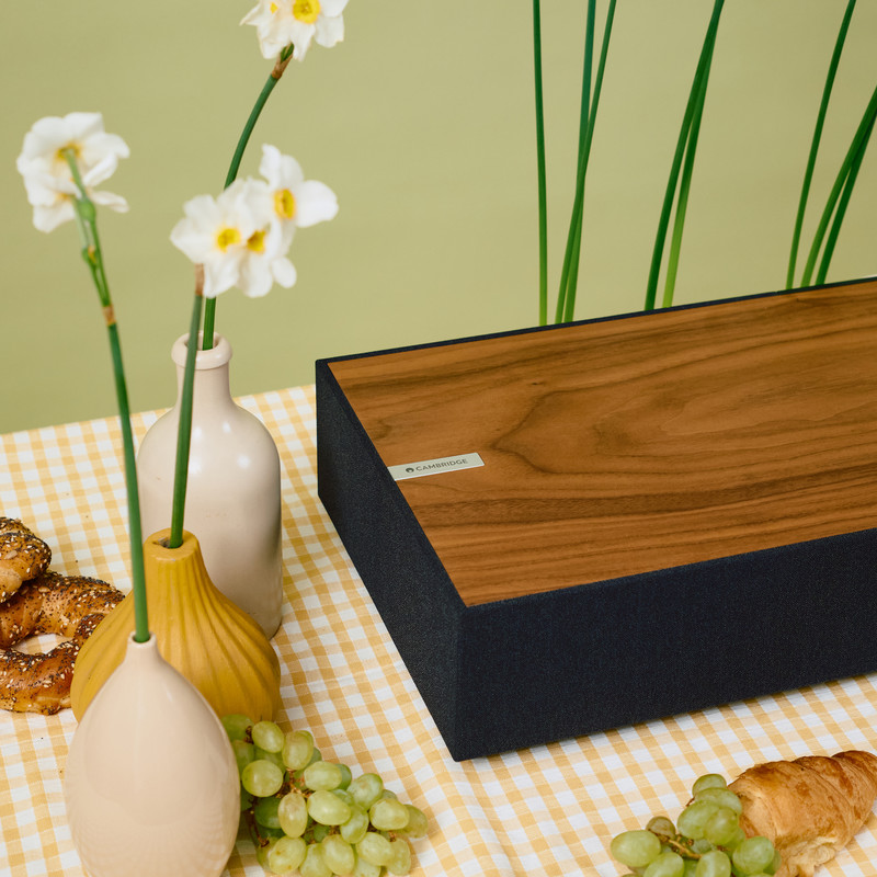 Boxe active Cambridge Audio Evo One