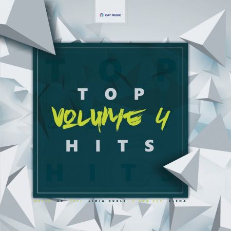 CD Cat Music Various Artists - Top Hits Vol 4