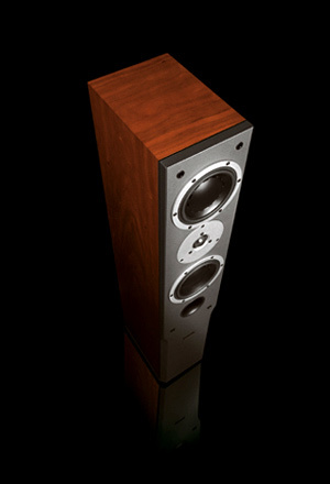 Boxe Dynaudio Audience 122 Rosewood
