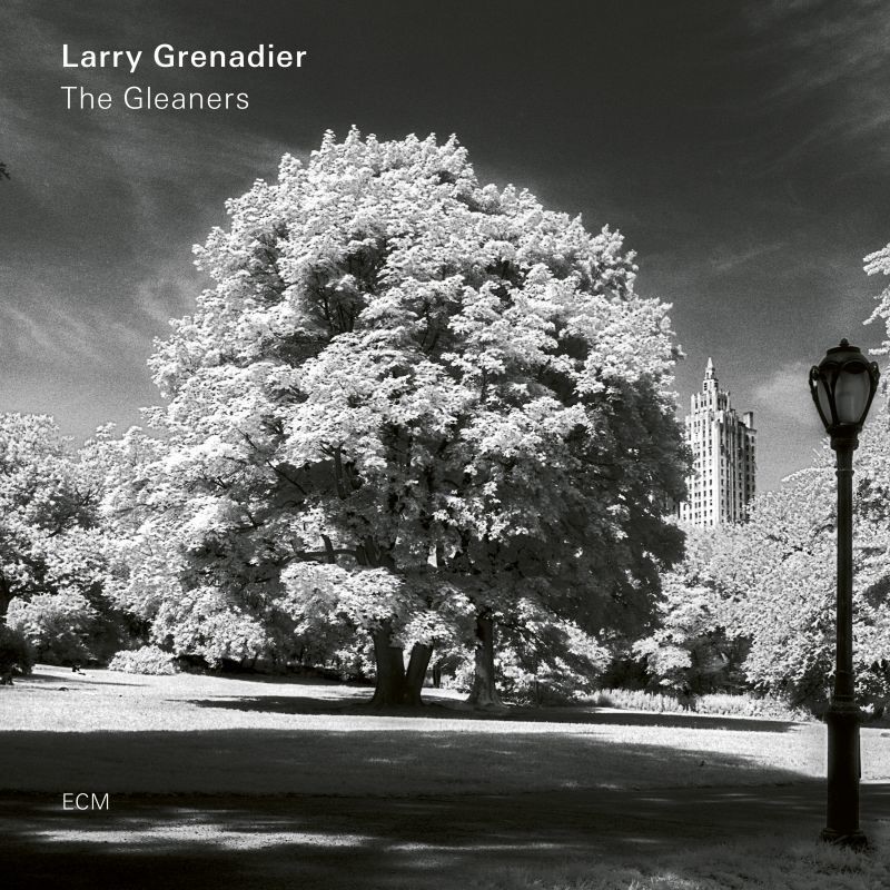 VINIL ECM Larry Grenadier: The Gleaners