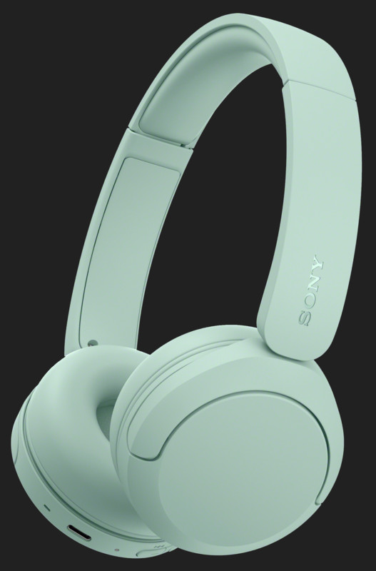Casti Sony WH-CH530