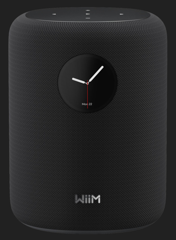 Boxe active WiiM Sound