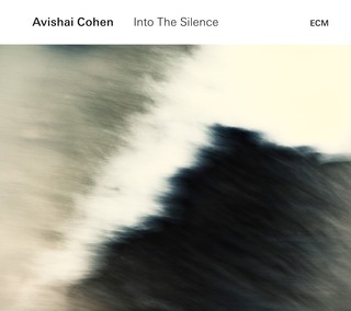 Avishai Cohen: Into The Silence