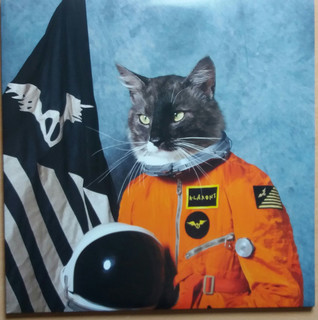 Klaxons - Surfing The Void