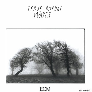 Terje Rypdal: Waves