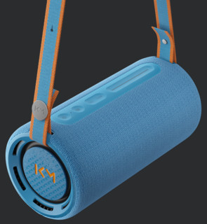 Boxe active Loewe We.HEAR PRO