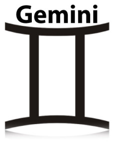 dual_gemini