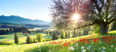 Imagine cu XE94 / XE93 Televizor 4K HDR cu Slim Backlight Drive+