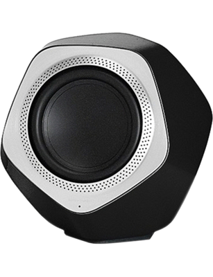 Subwoofer Bang & Olufsen Beolab 19 la AVstore.ro