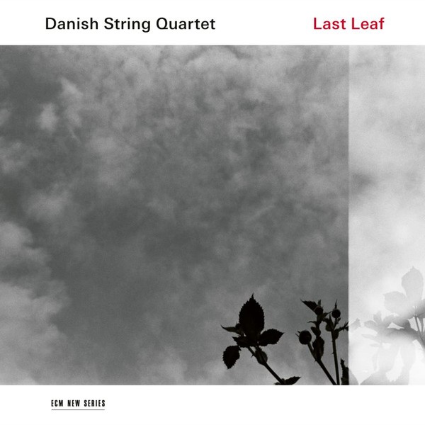 Viniluri  ECM, Gen: Contemporana, VINIL ECM Danish String Quartet: Last Leaf, avstore.ro