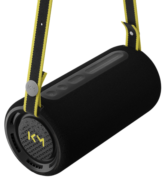 Promotii Boxe Amplificate Loewe, TIP BOXE AMPLIFICATE: Boxe portabile, cu bluetooth, Boxe active Loewe We.HEAR PRO, avstore.ro