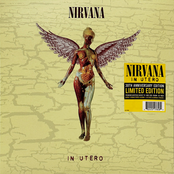 Muzica, VINIL Universal Music Romania Nirvana – In Utero (30th Anniversary Edition), avstore.ro